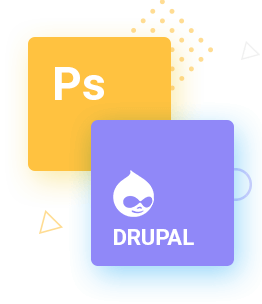 drupal development