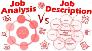 Job discription and job analysis