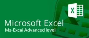 Advance Microsoft Excel