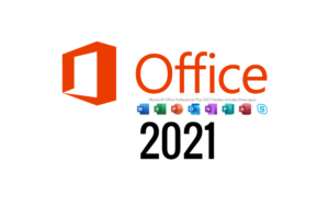 MS Office Professional (Word, Excel, PowerPoint)
