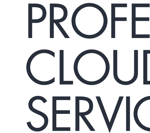 Professional Cloud Service Manager